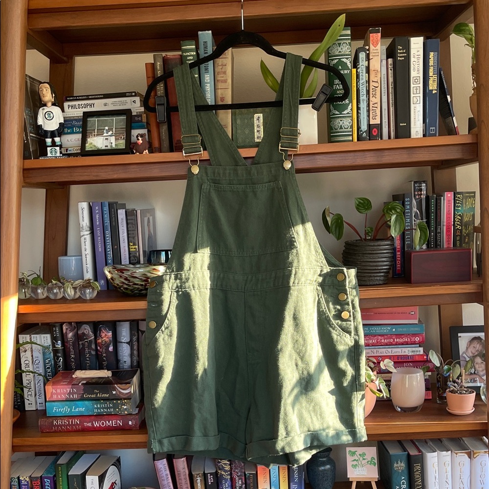 Cider Green Overalls for Home Storage